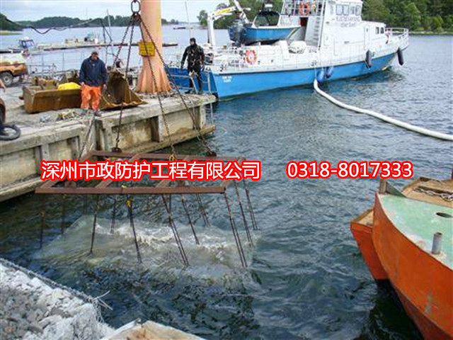 哈爾濱拋石網(wǎng)