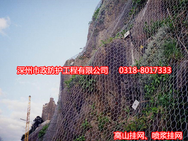 哈爾濱重型六角網